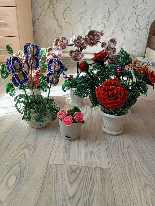 foto 2025 07 02 08 50 2